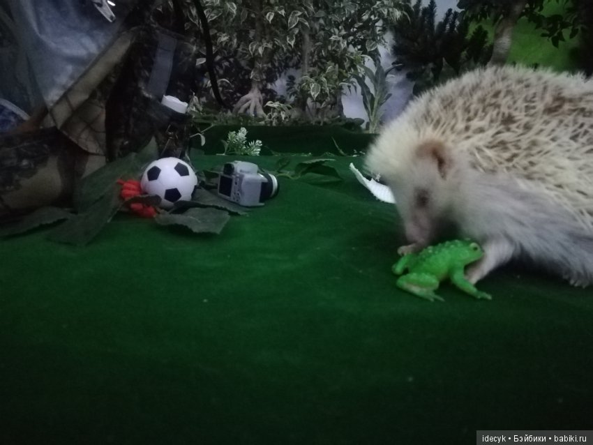 В поход с ночёвкой — Фотоистории с куклами BJD (БЖД): сериалы