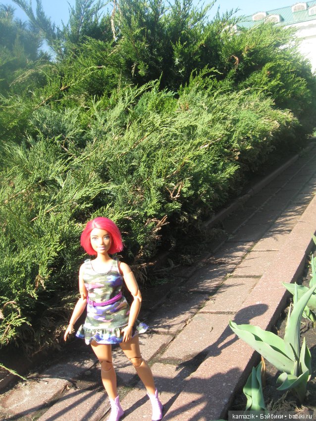 Район Камазовка. Ритка вышла погулять (фото 7)