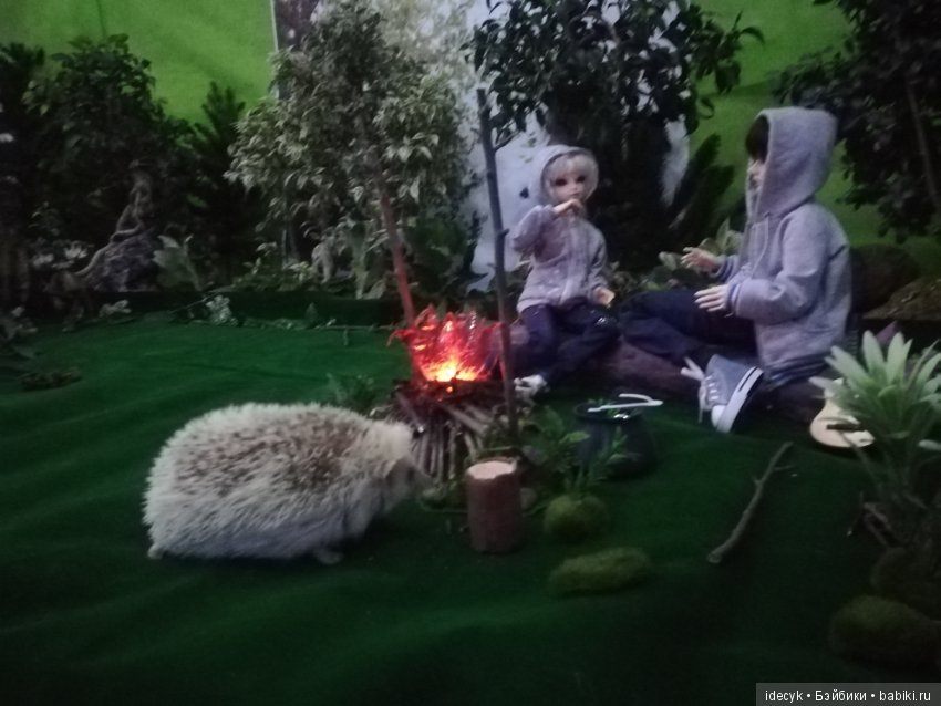 В поход с ночёвкой — Фотоистории с куклами BJD (БЖД): сериалы