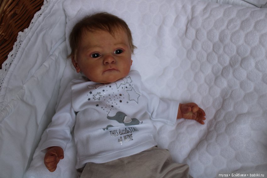 Любимчик Яша.Кукла-реборн молд Yael G.Legler