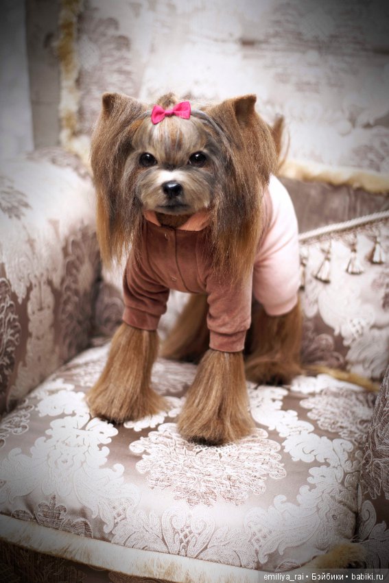 Йорк. Живая игрушка — Авторские мишки Тедди и друзья: фото (фото 3)