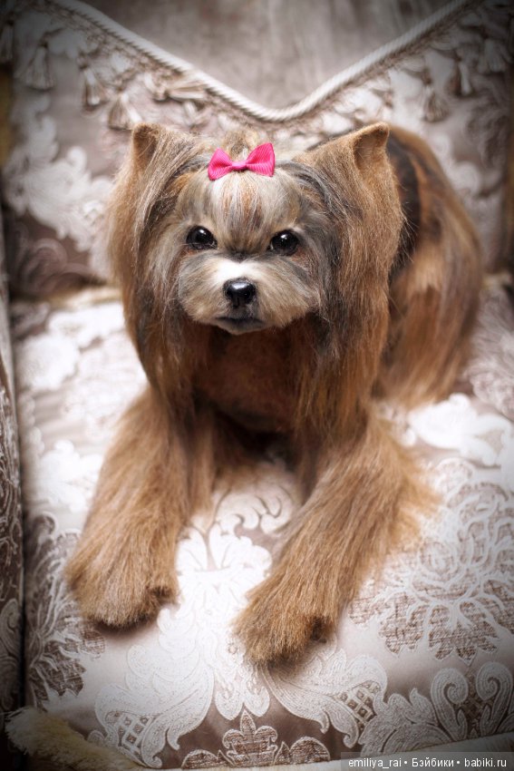 Йорк. Живая игрушка — Авторские мишки Тедди и друзья: фото (фото 7)