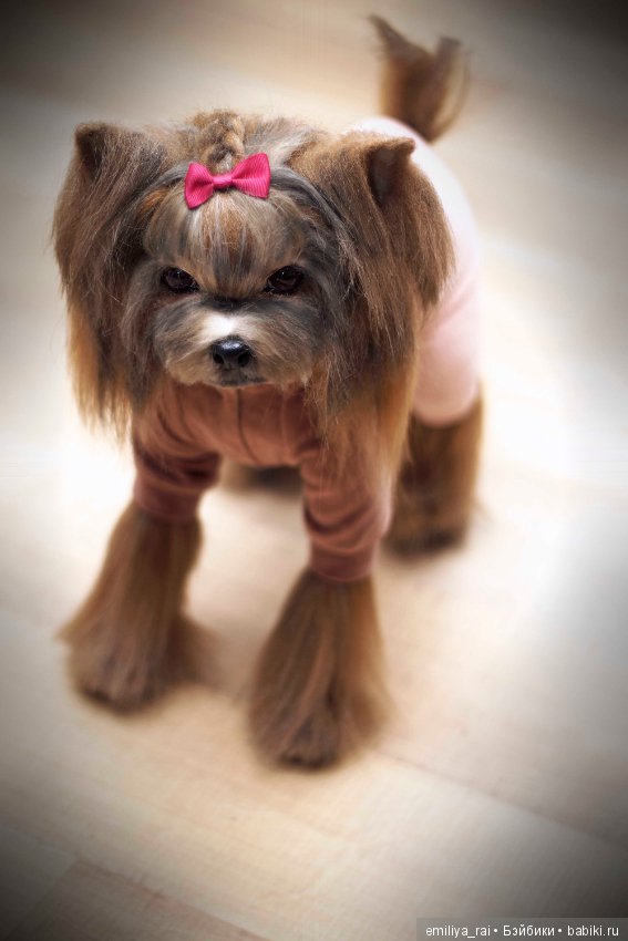 Йорк. Живая игрушка — Авторские мишки Тедди и друзья: фото