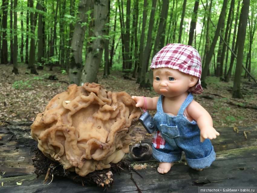 Как наш Обижулька за весенними грибами ходил