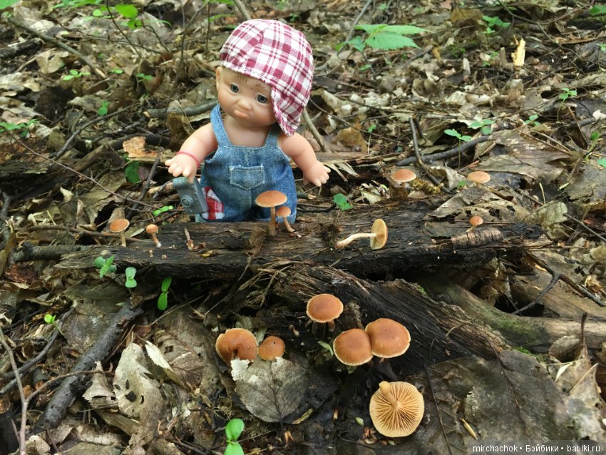 Как наш Обижулька за весенними грибами ходил