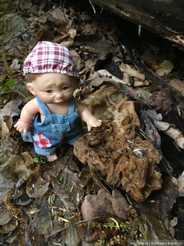 Как наш Обижулька за весенними грибами ходил