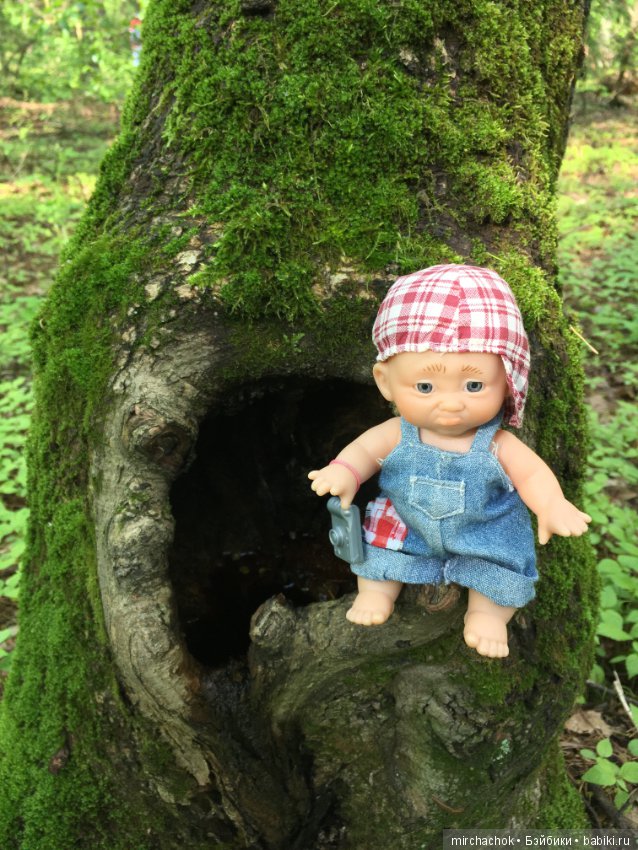 Как наш Обижулька за весенними грибами ходил