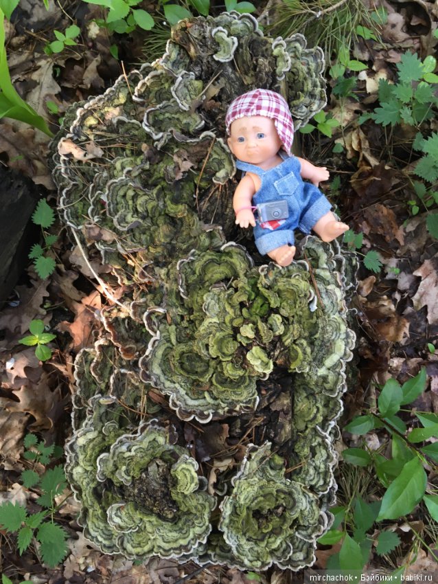 Как наш Обижулька за весенними грибами ходил