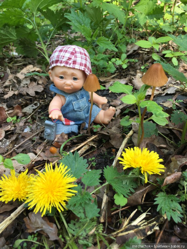 Как наш Обижулька за весенними грибами ходил