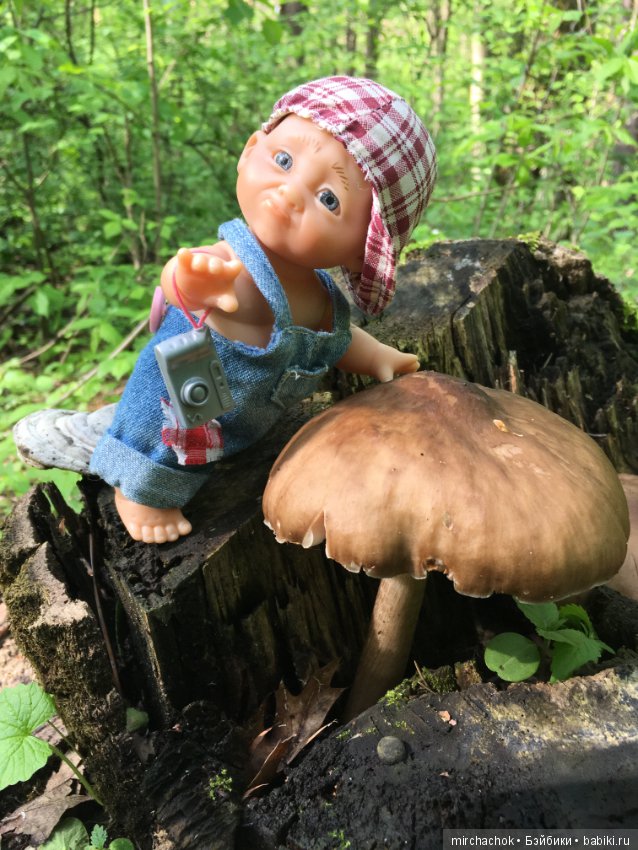 Как наш Обижулька за весенними грибами ходил