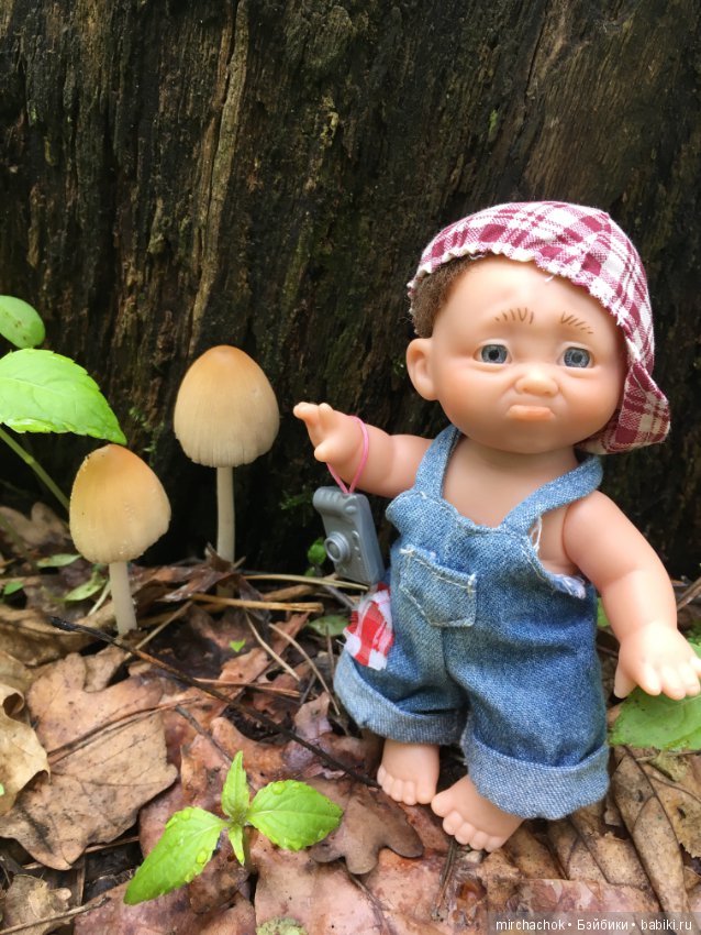 Как наш Обижулька за весенними грибами ходил (фото 2)