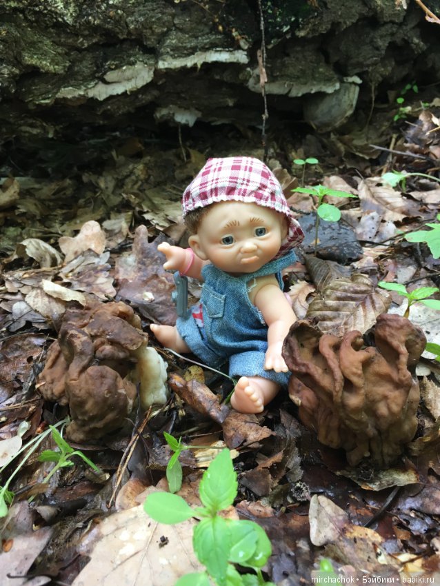 Как наш Обижулька за весенними грибами ходил (фото 7)