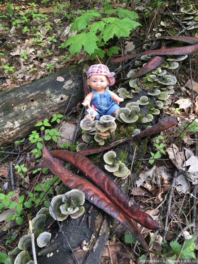 Как наш Обижулька за весенними грибами ходил