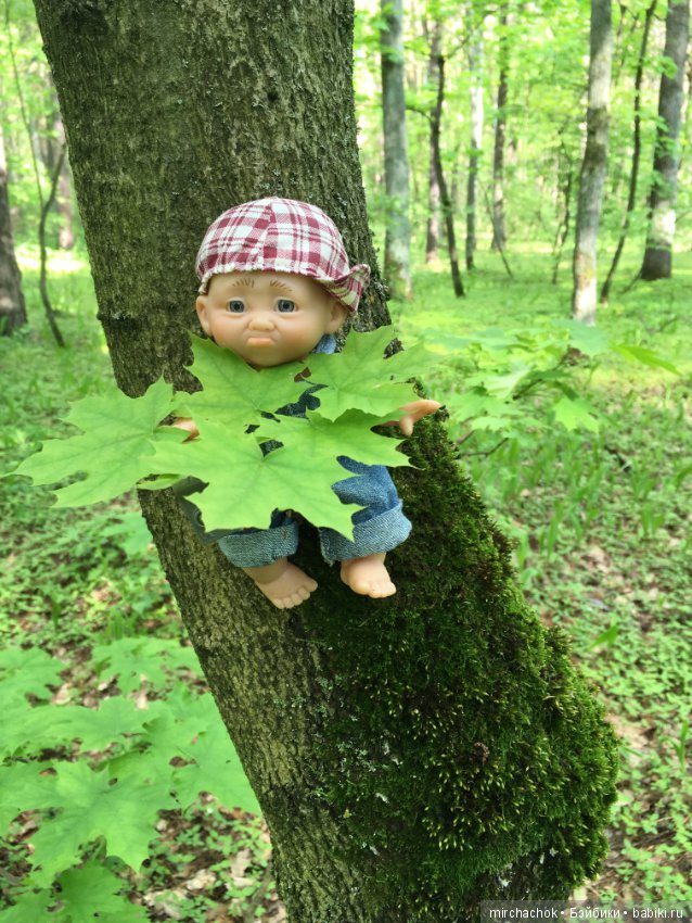 Как наш Обижулька за весенними грибами ходил