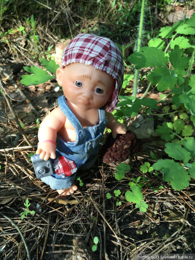 Как наш Обижулька за весенними грибами ходил