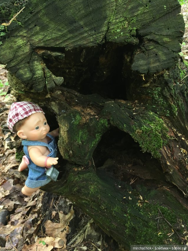 Как наш Обижулька за весенними грибами ходил (фото 9)