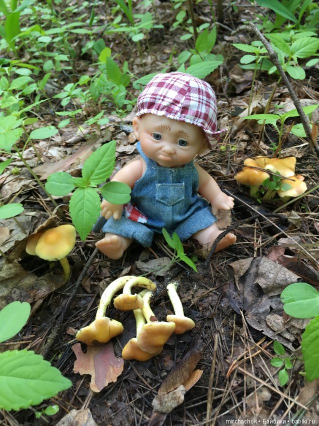 Как наш Обижулька за весенними грибами ходил