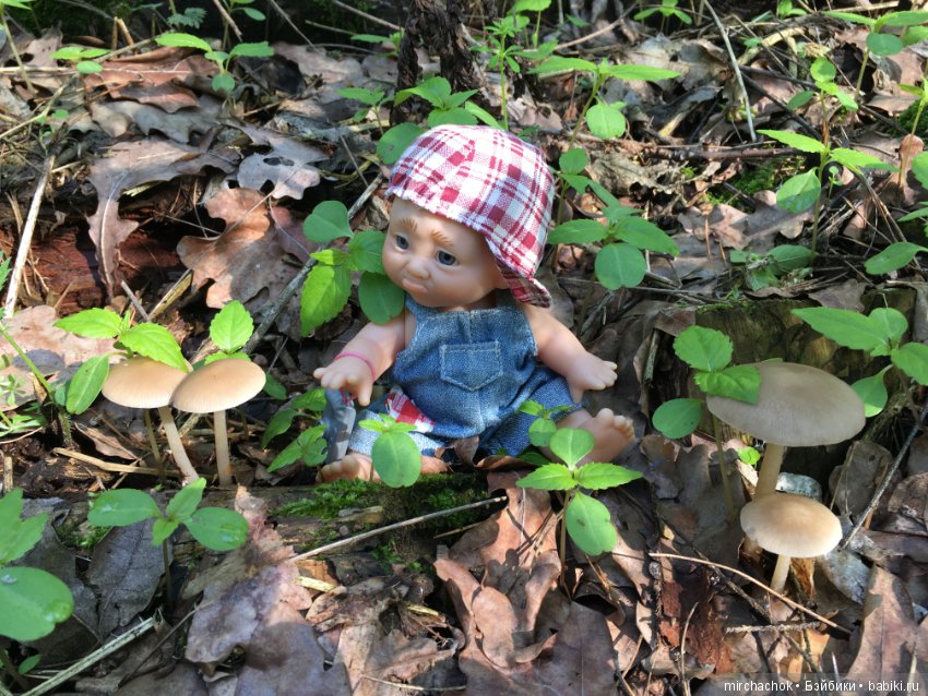 Как наш Обижулька за весенними грибами ходил