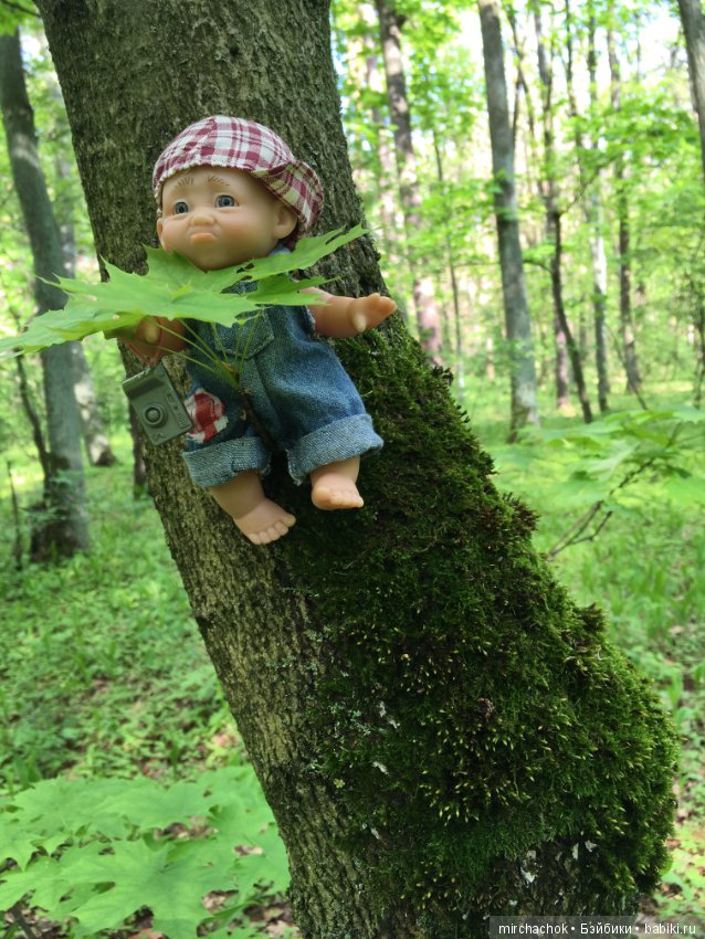 Как наш Обижулька за весенними грибами ходил