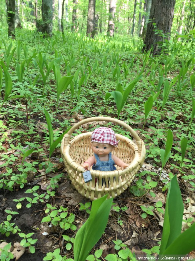 Как наш Обижулька за весенними грибами ходил