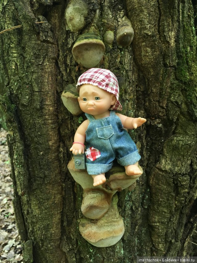 Как наш Обижулька за весенними грибами ходил (фото 10)