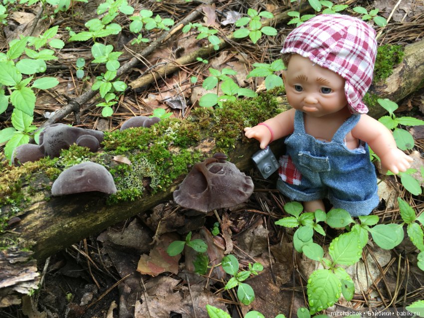 Как наш Обижулька за весенними грибами ходил (фото 3)