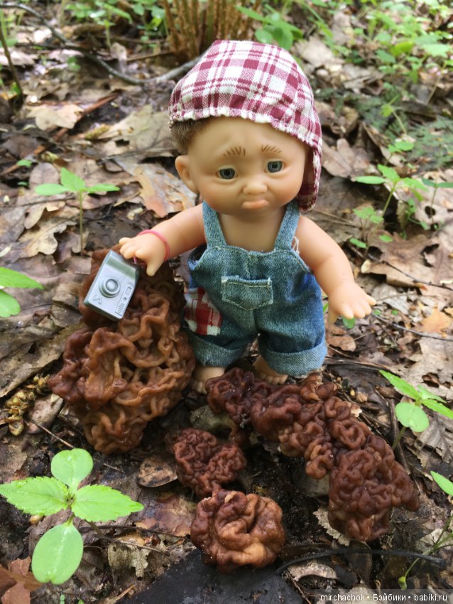 Как наш Обижулька за весенними грибами ходил (фото 8)