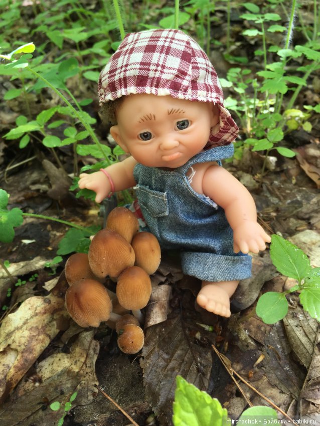 Как наш Обижулька за весенними грибами ходил (фото 5)