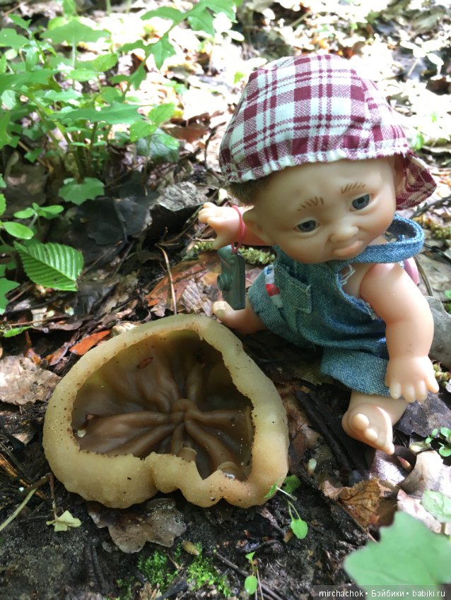 Как наш Обижулька за весенними грибами ходил (фото 6)