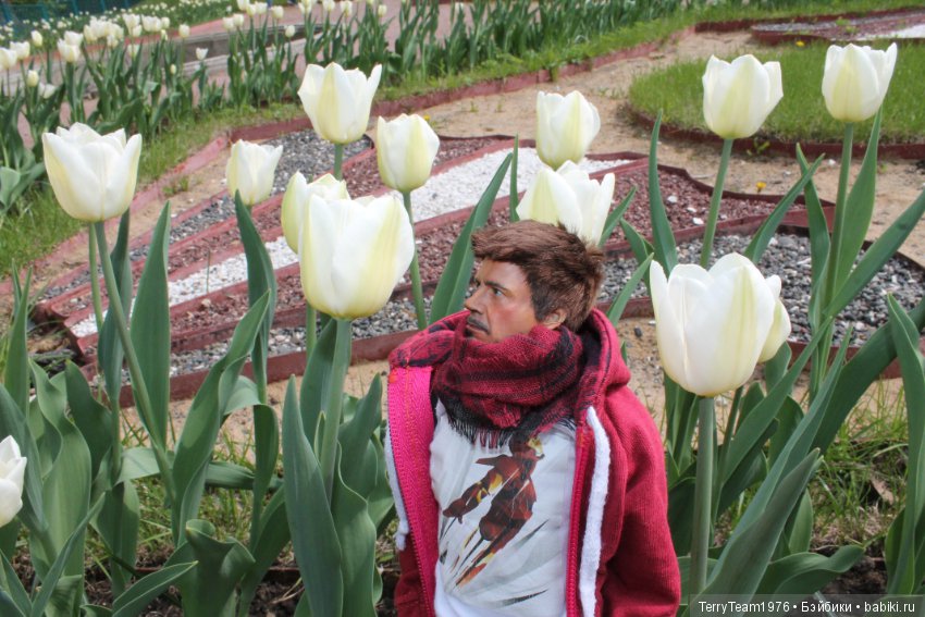 Репетиция прогулки — Куклы Phicen (TBLeague/Фицен): бесшовные тела