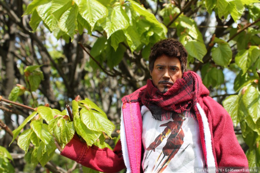 Репетиция прогулки — Куклы Phicen (TBLeague/Фицен): бесшовные тела (фото 9)