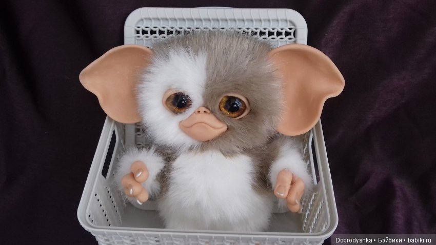 Мои милые малыши Магвайчики (фото 6)