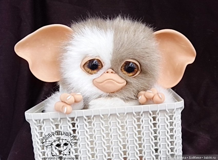 Мои милые малыши Магвайчики (фото 2)