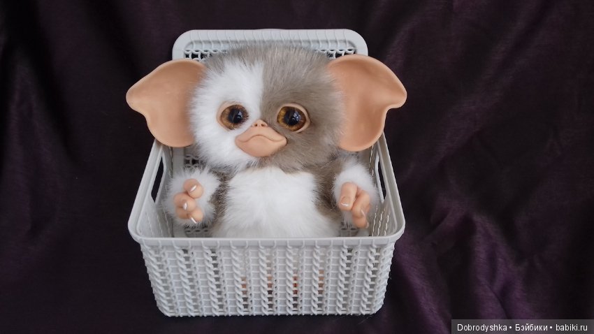 Мои милые малыши Магвайчики (фото 7)