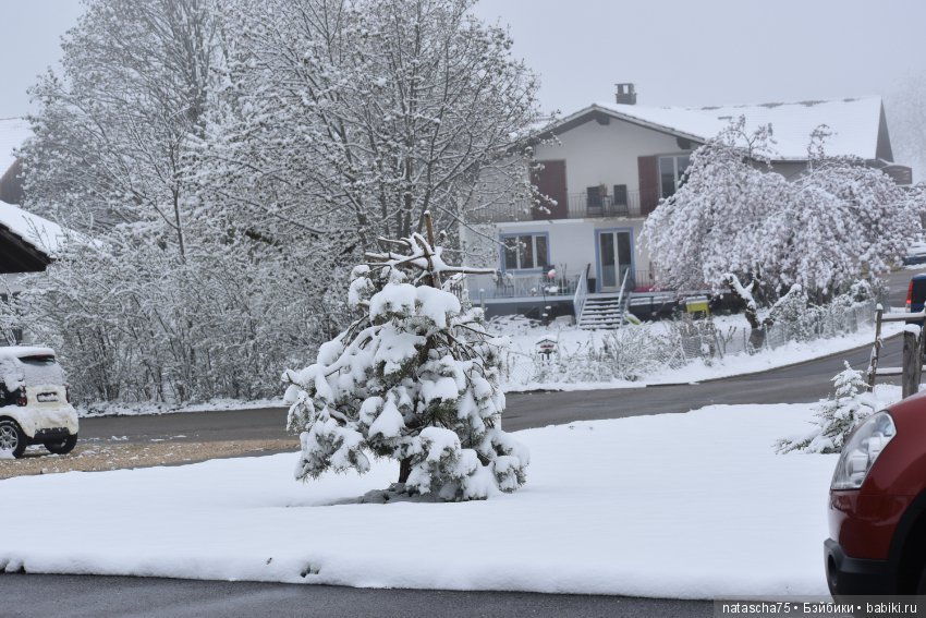 Частный музей в Швейцарии (фото 4)