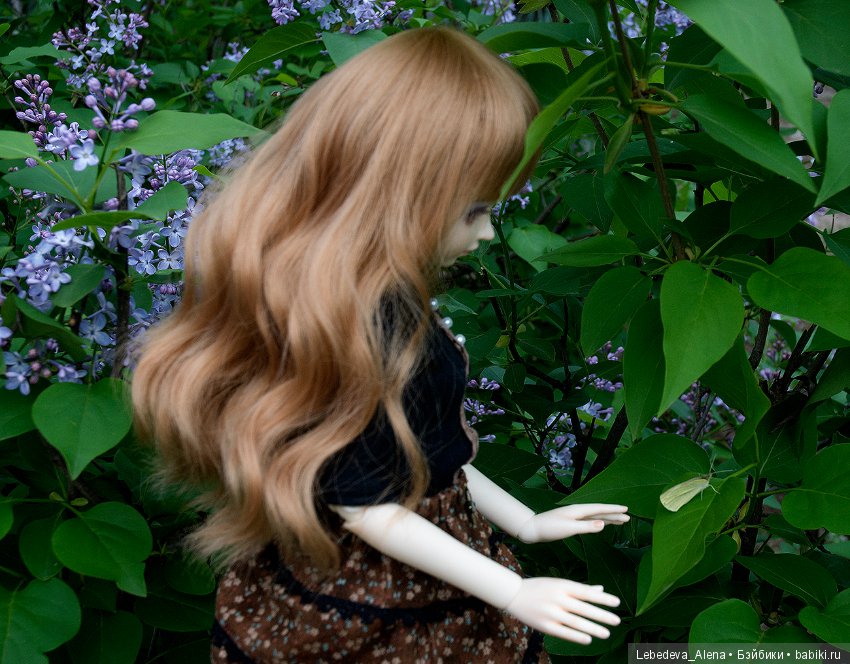 Сирень расцвела — Фотоистории с куклами BJD (БЖД): сериалы (фото 3)