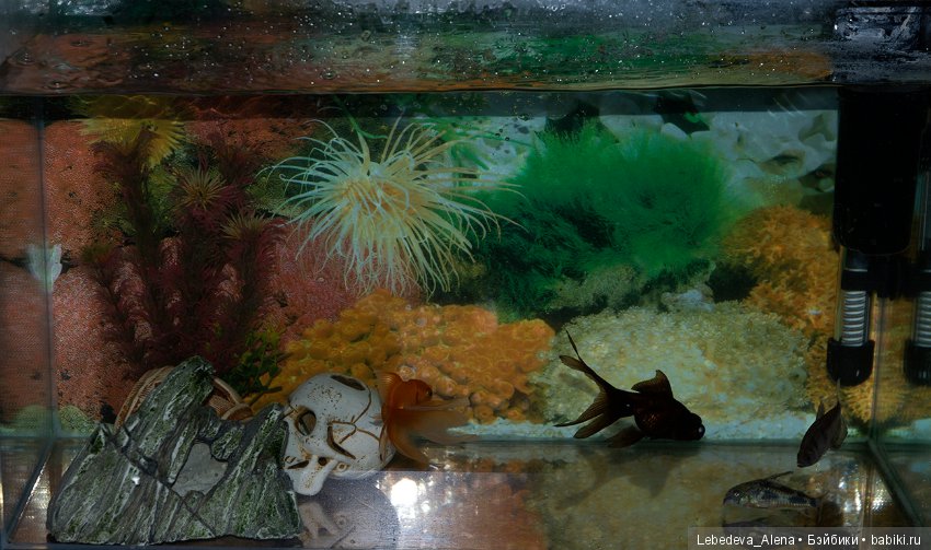 Сирень расцвела — Фотоистории с куклами BJD (БЖД): сериалы (фото 4)