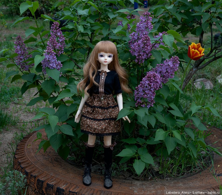 Сирень расцвела — Фотоистории с куклами BJD (БЖД): сериалы