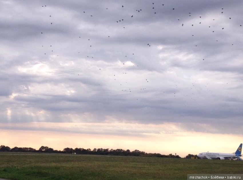 Небо. Девушка. Самолёт — Куклы Monster High и Ever After High: G1