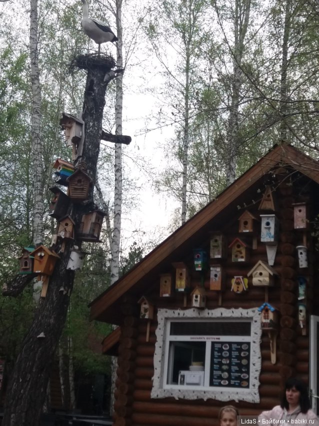 Продолжаем прогулку по зоопарку г. Новосибирска