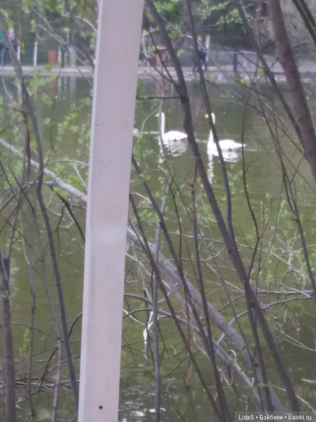 Прогулка по зоопарку. Первая в этом году