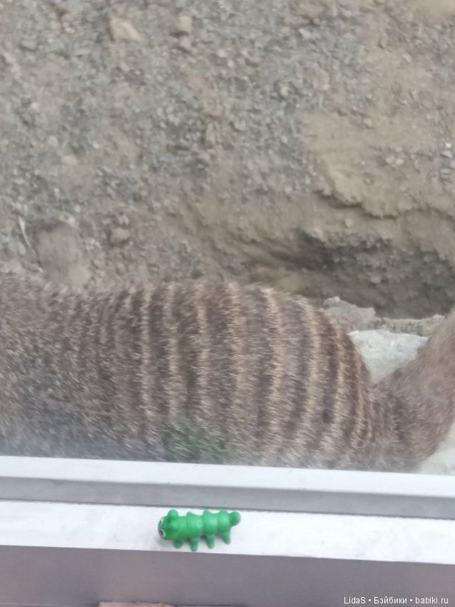 Прогулка по зоопарку. Первая в этом году