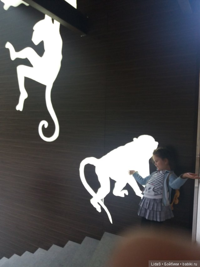 Прогулка по зоопарку. Первая в этом году