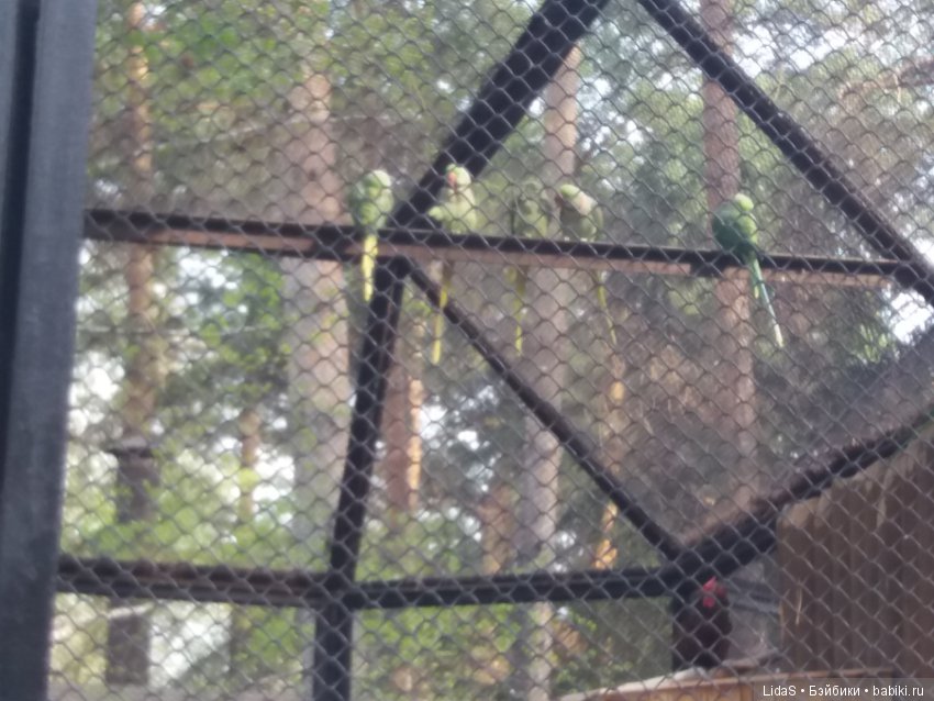 Прогулка по зоопарку. Первая в этом году