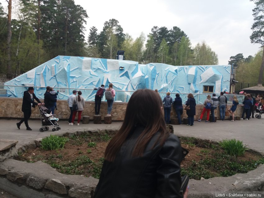 Продолжаем прогулку по зоопарку г. Новосибирска