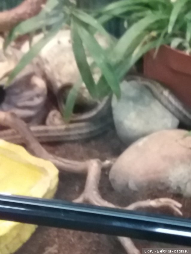 Прогулка по зоопарку. Первая в этом году