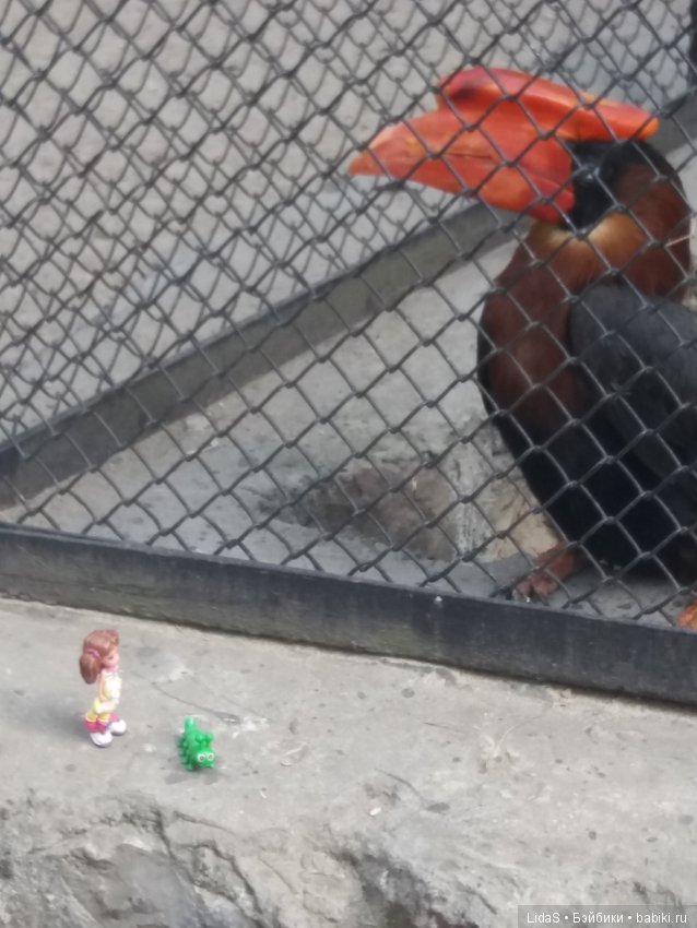 Прогулка по зоопарку. Первая в этом году (фото 8)