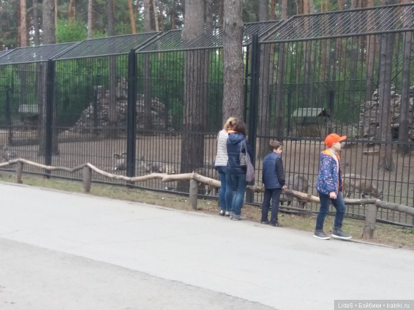 Прогулка по зоопарку. Первая в этом году