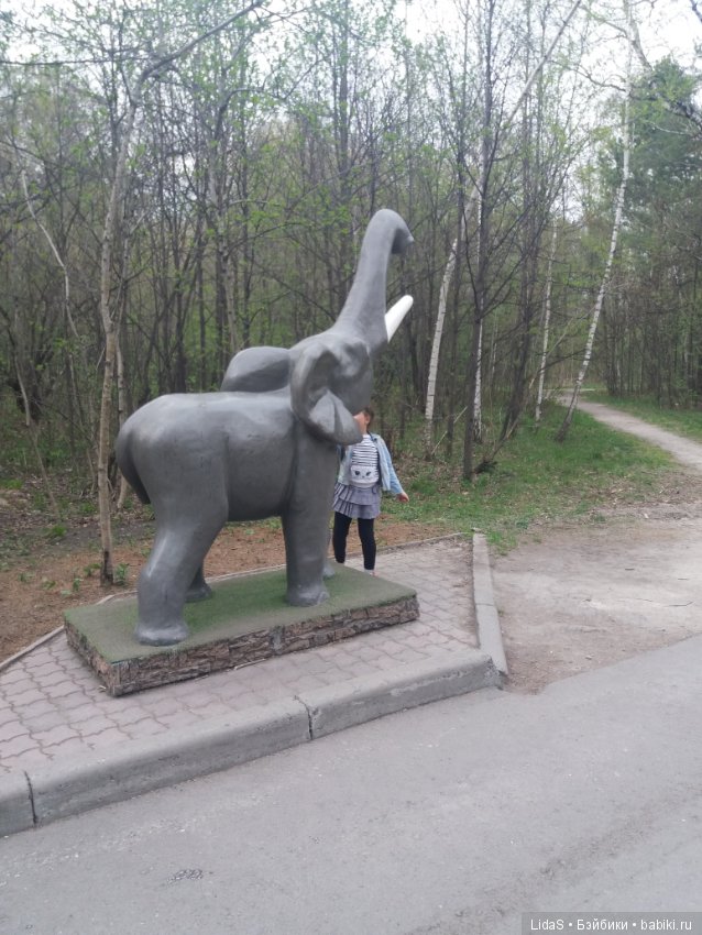 Продолжаем прогулку по зоопарку г. Новосибирска (фото 5)