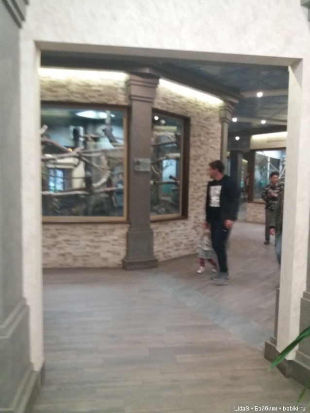 Прогулка по зоопарку. Первая в этом году (фото 2)